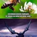 La aerodinámica del dragón vs abeja