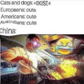 Ching Chong don’t touch my dog