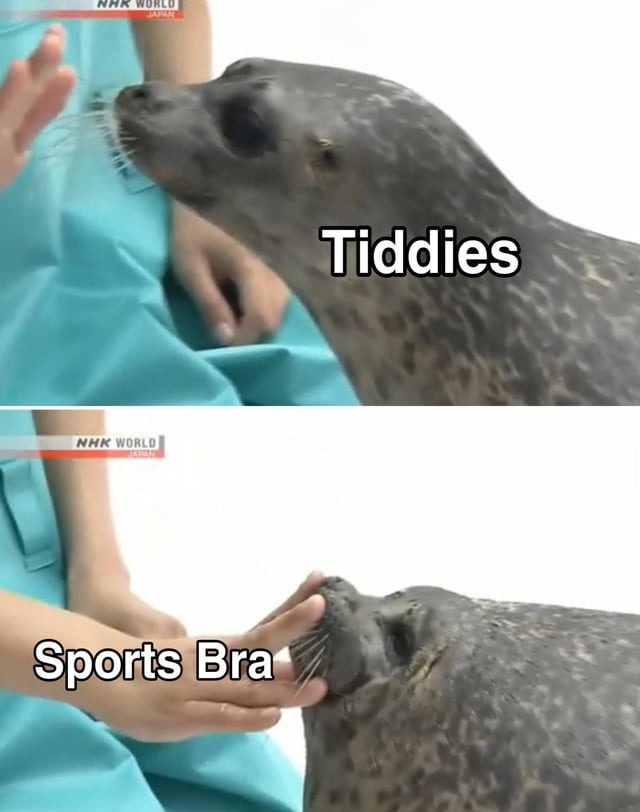 Sports bra - meme