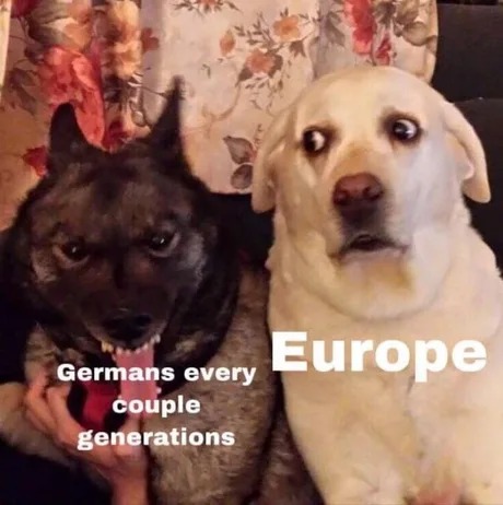 Germans every couple generations - meme
