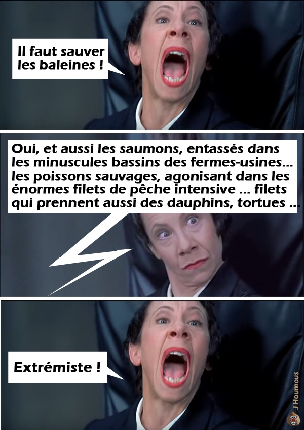 Sauver les baleines - meme