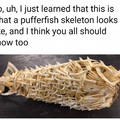 How tf do people actually cut up and eat pufferfish