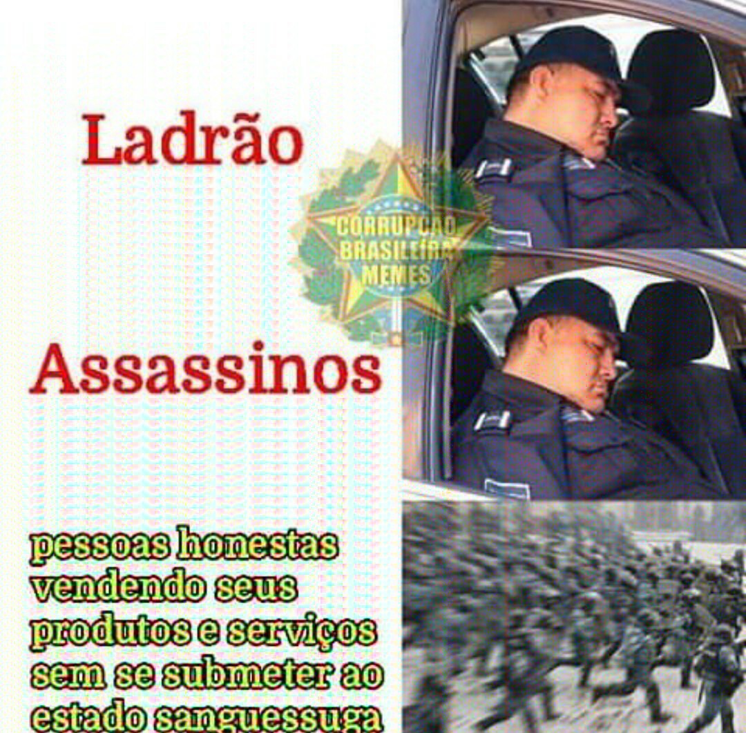 Estado é um lixo - meme