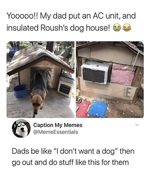 dads be like I don't want a dog then build it a smart home - meme