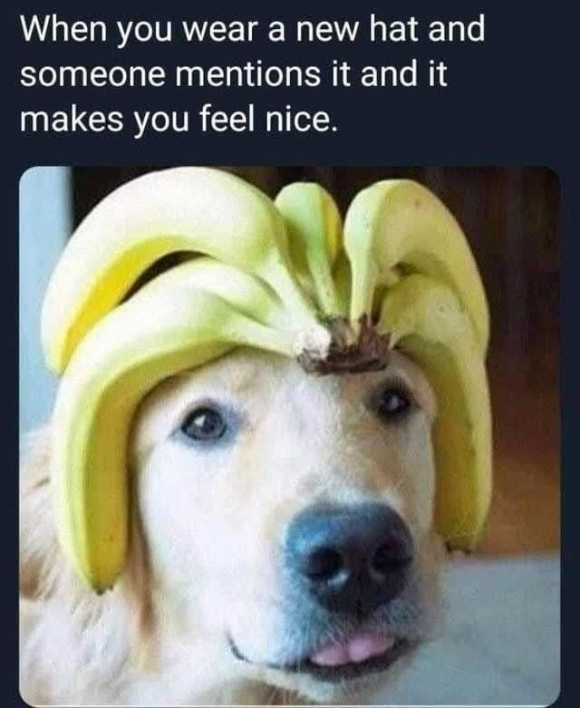 rate my banana hat - meme