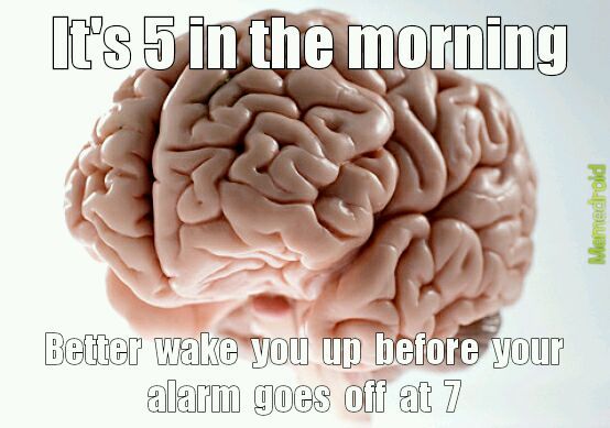 Brain alarm - meme
