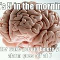 Brain alarm