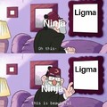 What the hell is ligma??? (cit)