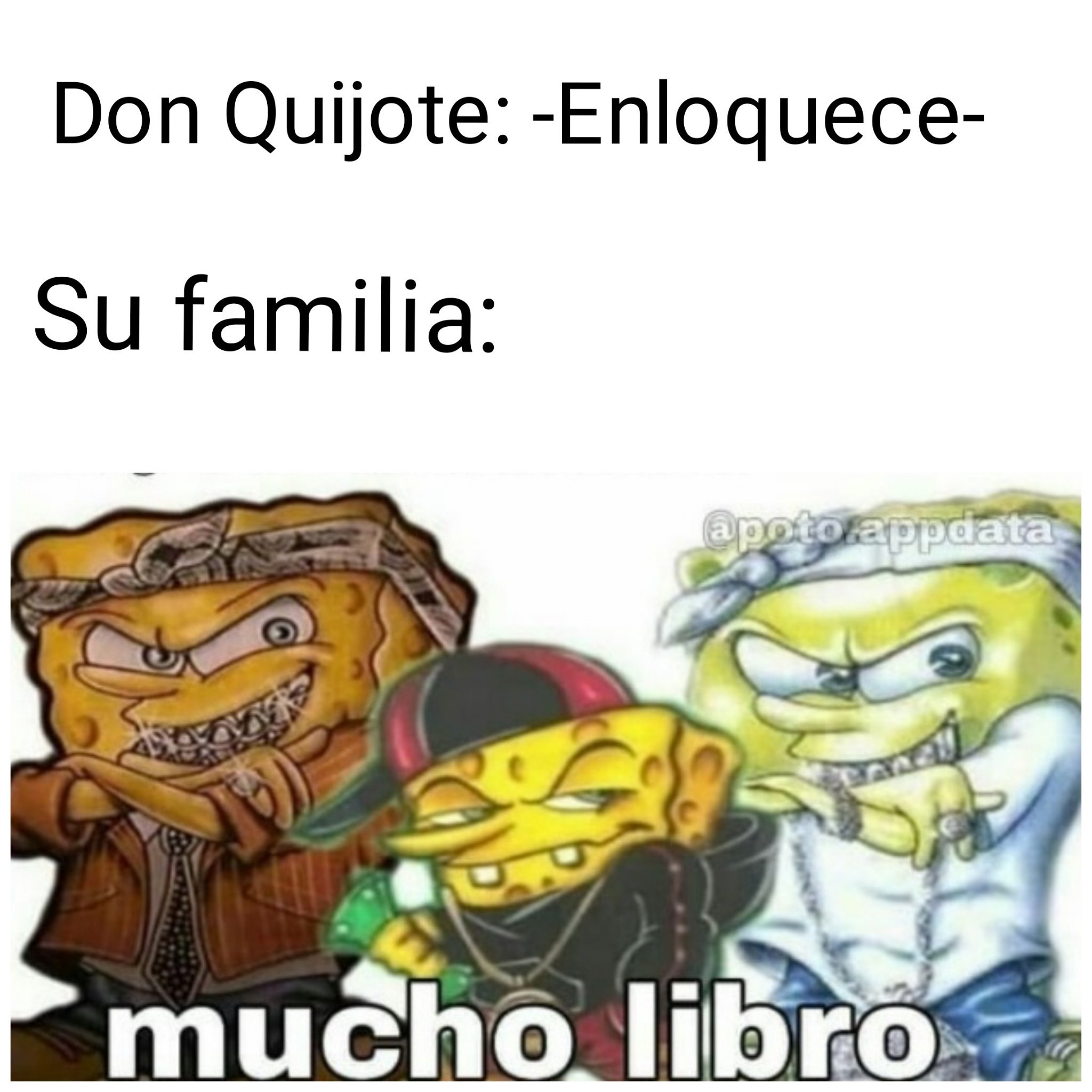 La familia de don Quijote le quemaron los libros hechandoles la culpa de su Locura - meme