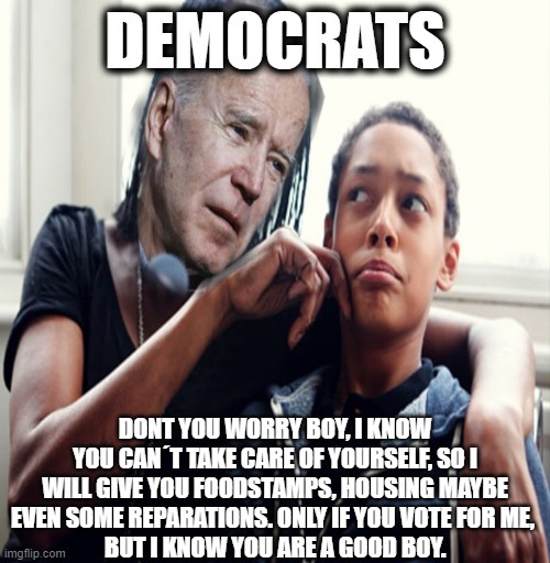 Anti Democrat Meme