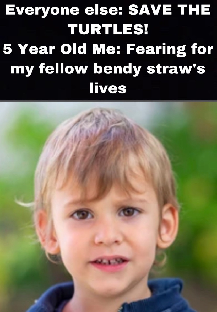 Why worry for the turtles when bend straw’s lives are at stake - meme