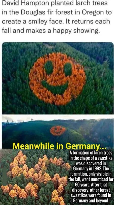 Germany WTF - meme