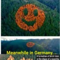 Germany WTF