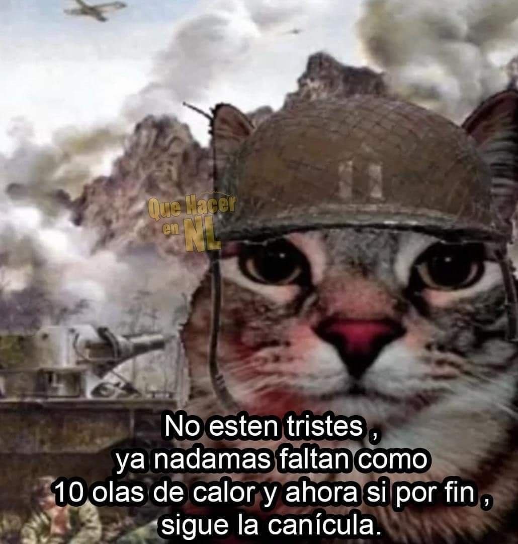 Meme de olas de calor 2024