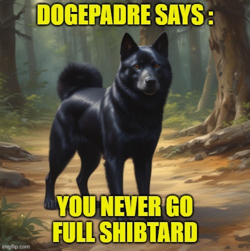 Shibtard - meme