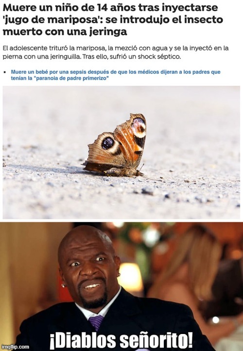 Un chaval se metió jugo de mariposa wtf - meme