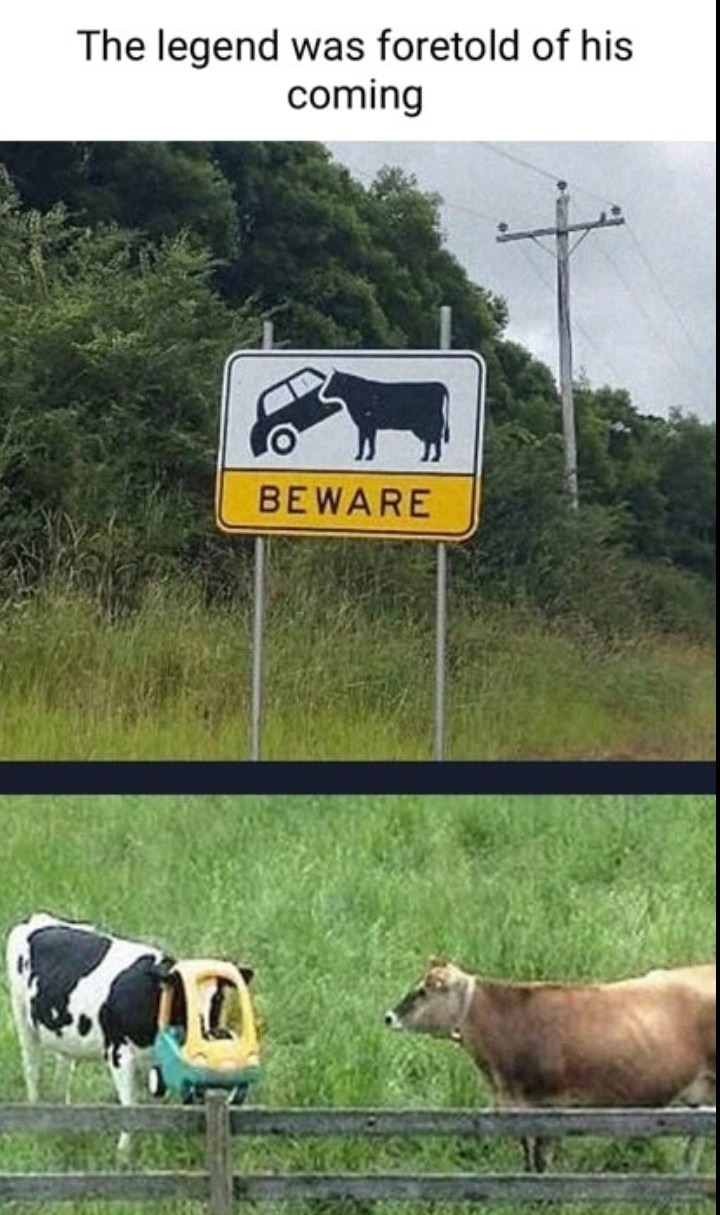 You forgot to use your blinker - meme
