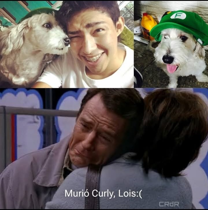 :C - meme