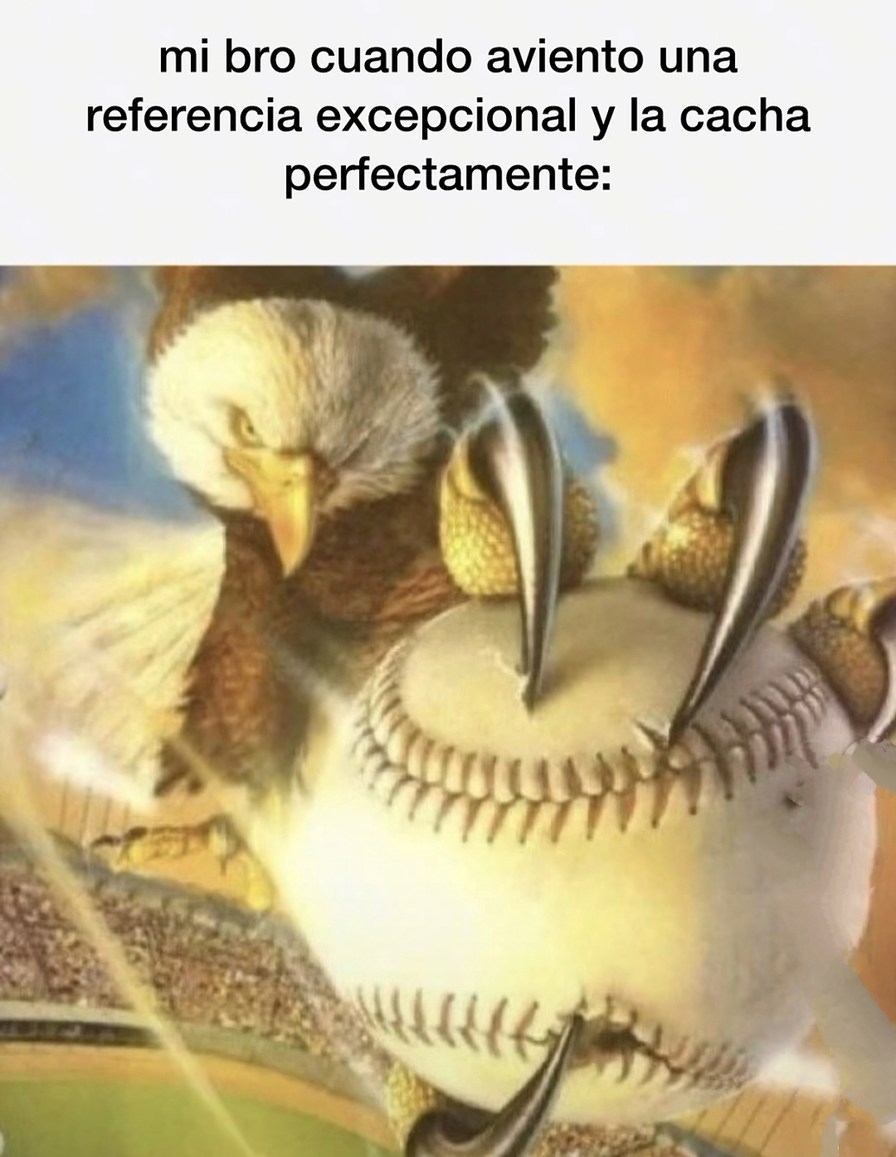 Cuando lanzo la referencia perfecta y mi bro la cacha al vuelo - meme