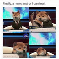 Lil doggo news