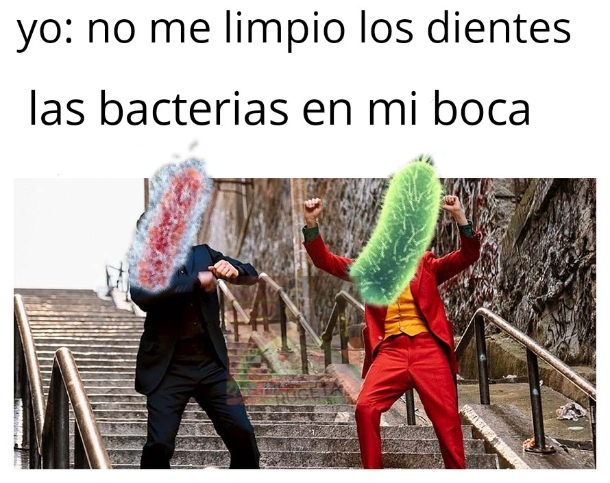 Las bacterias - meme
