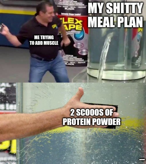 No protein no gain - meme