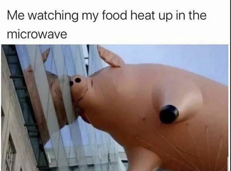 Piggy - meme