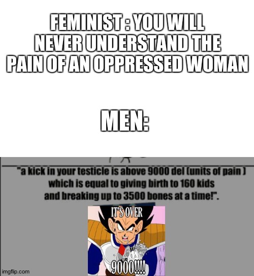 Take that feminism - meme