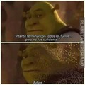 Shrek Nooooooo