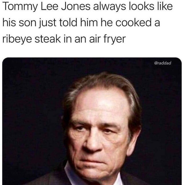 Tommy Lee Jones - meme