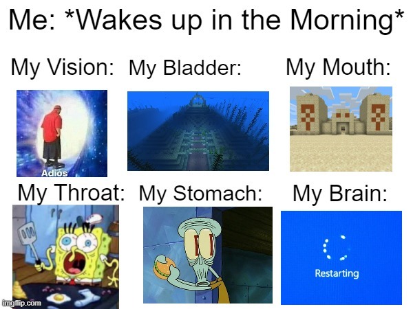Wakes up in the morning: - meme
