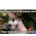 no ornaments?