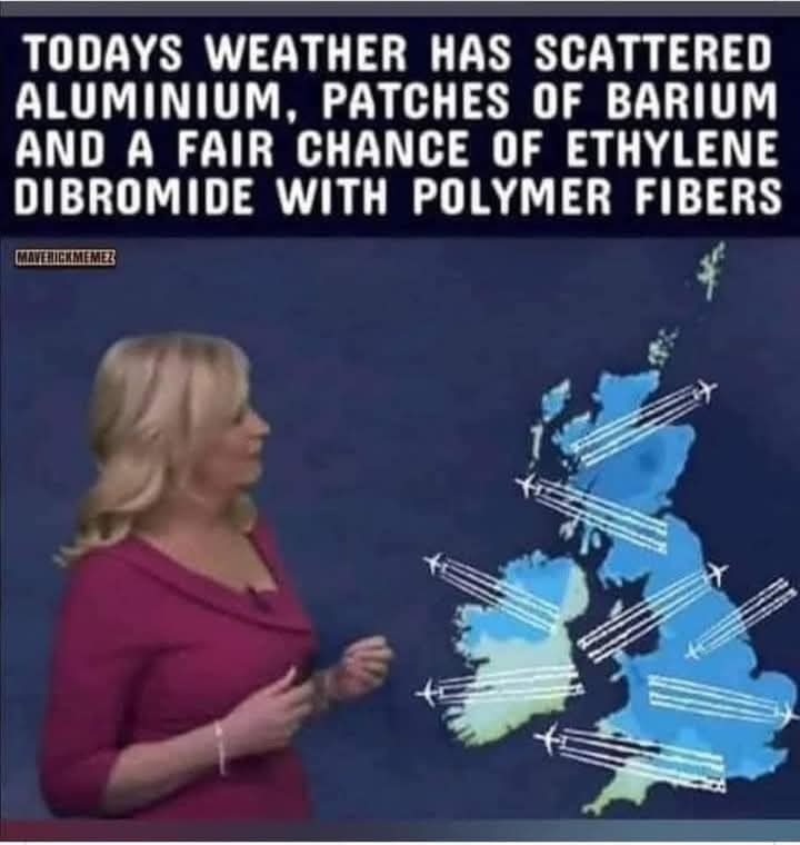 Todays Forecast - meme