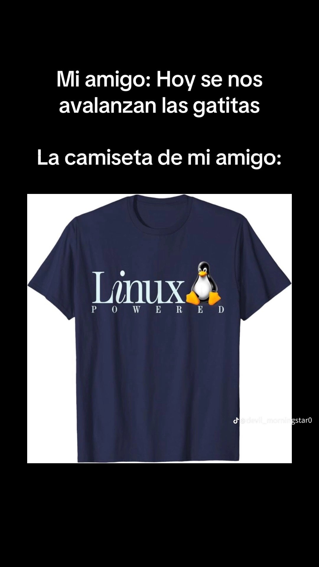 Solo programadores entenderan - meme