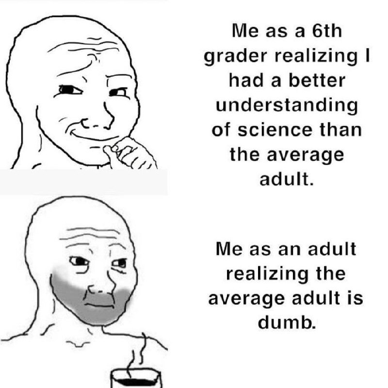 Average adults - meme