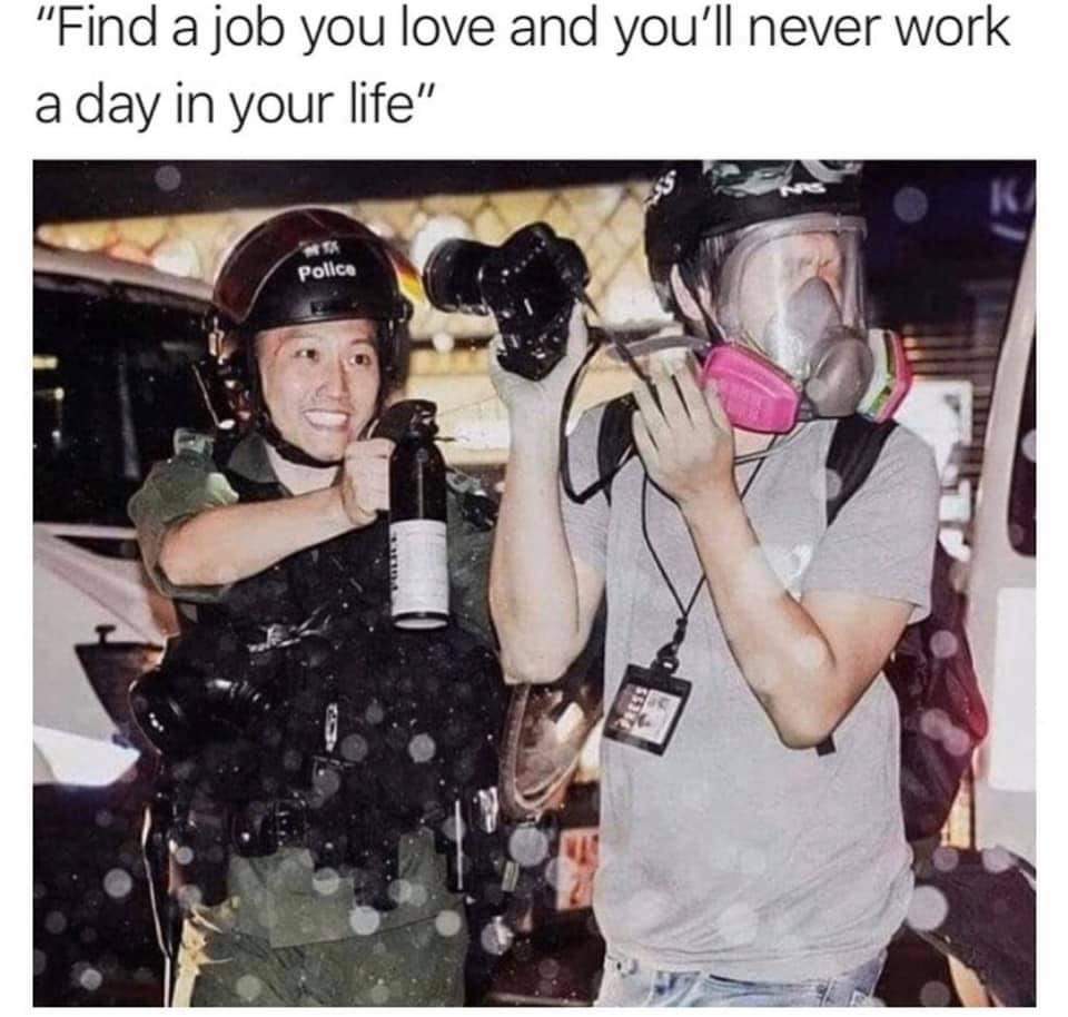 dongs in a job - meme