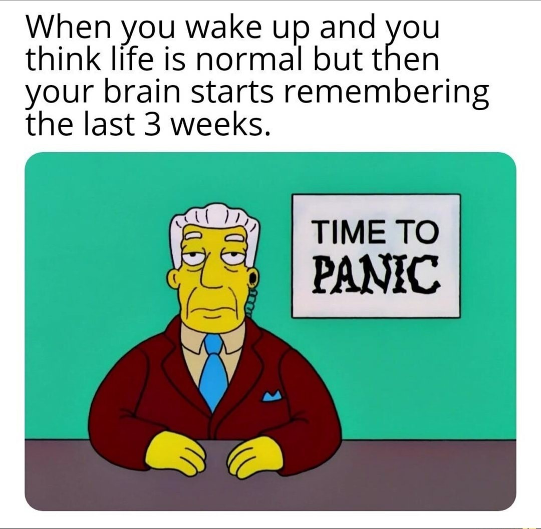 Panic - meme
