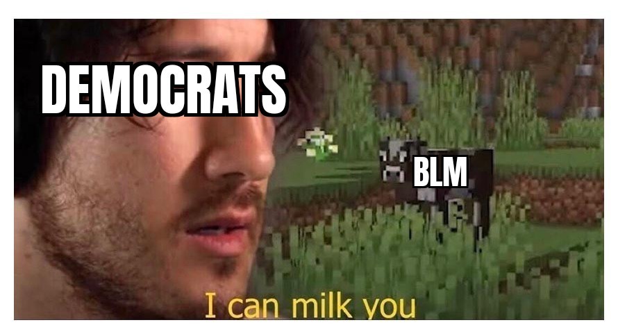 Democrats love BLM - meme