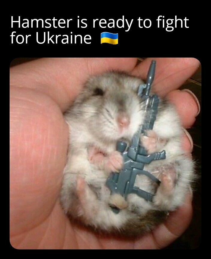 Hamster is ready - meme