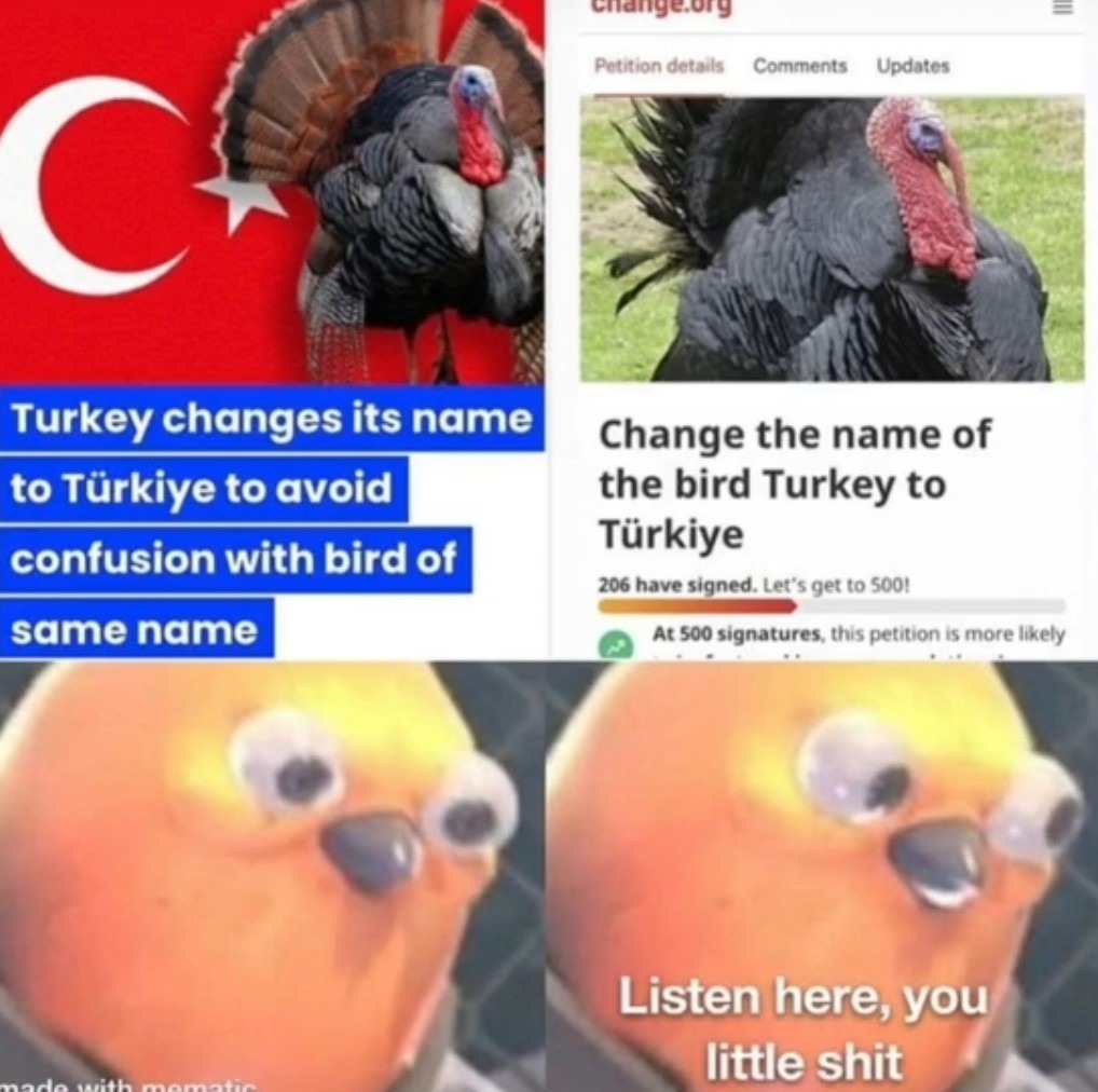 Türkiye is mad - meme