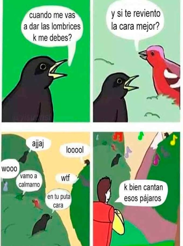 Pájaros - meme