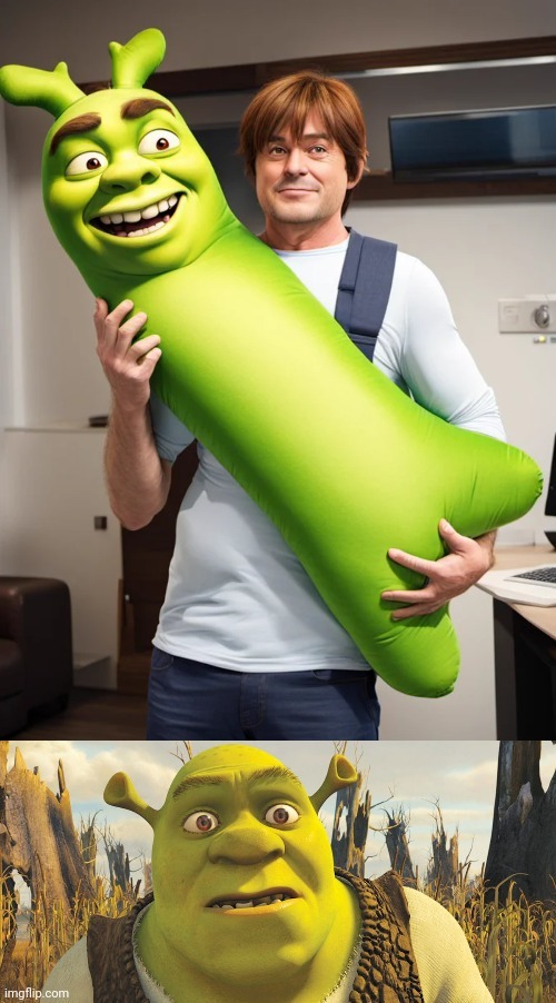 What is this - meme