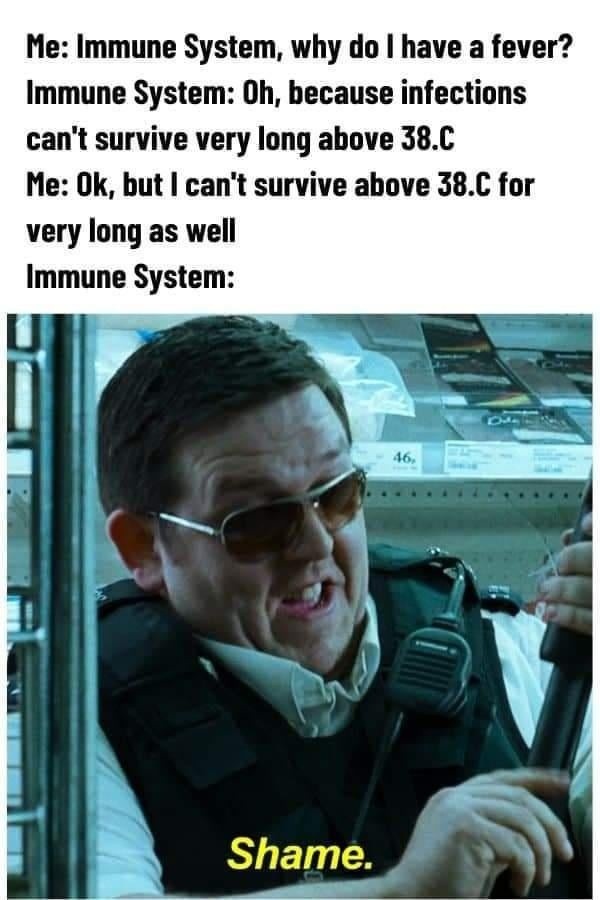 immune system speedrun - meme