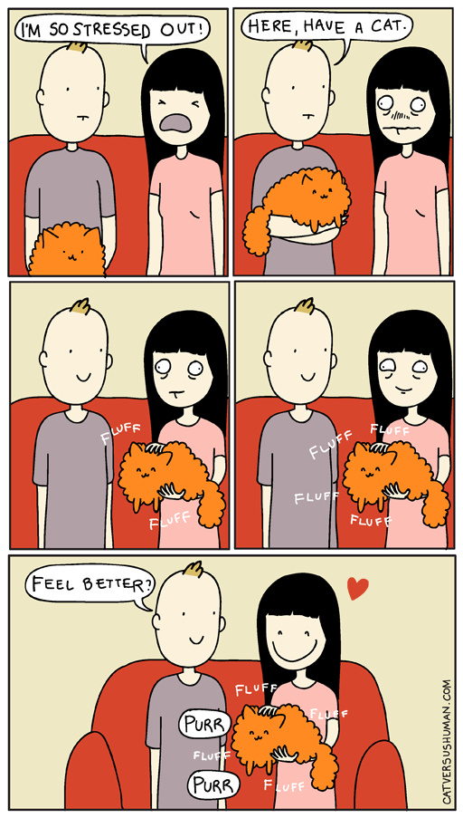 Cats are soft - meme