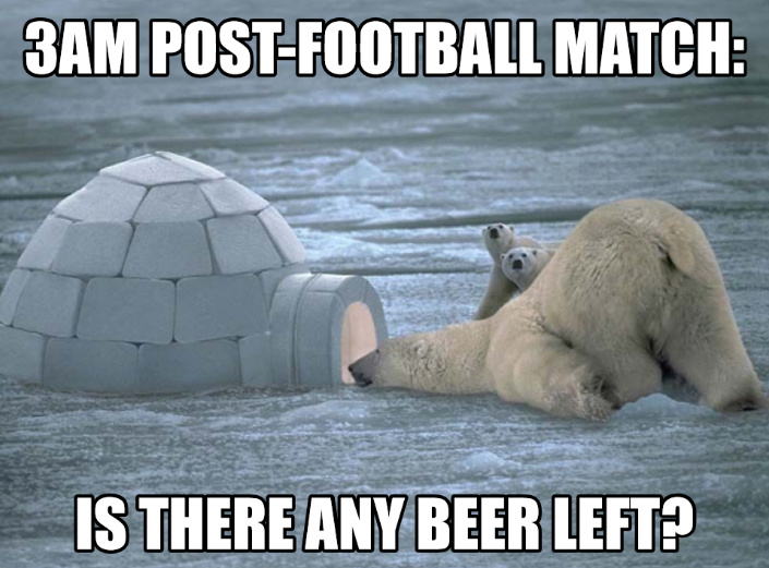 Beer Bear - meme