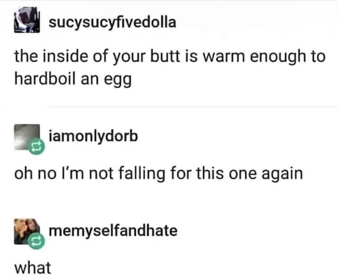 Butt Egg - meme