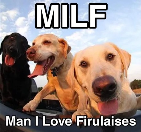 MILF meme