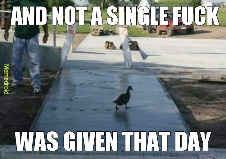 Ducks these days - meme