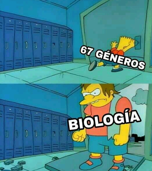 So existe 1 genero - meme