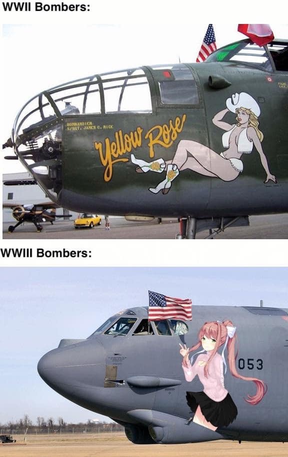dongs in a bomber - meme